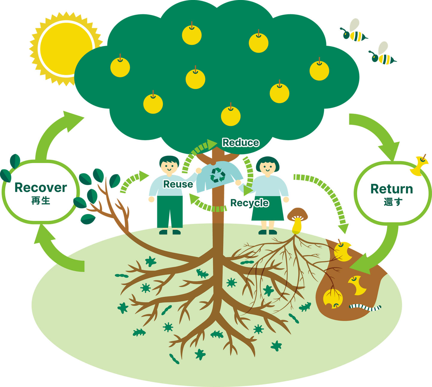 Circular economy & Renewable Energy